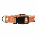 Littlearth NCAA Texas Longhorns Pet Collar, Team Color, Small