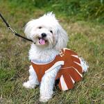 Pets First NCAA Texas Longhorns Dog Cheerleader Outfit, Small