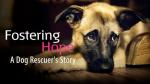 Fostering Hope: A Dog Rescuer's Story