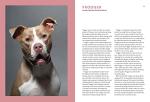 Forever Home: The Inspiring Tales of Rescue Dogs
