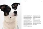 Forever Home: The Inspiring Tales of Rescue Dogs