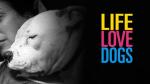 Life Love Dogs