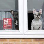 Pet Alert Safety Fire Rescue Sticker - Save Our Pets Emergency Inside Decal - House Home Window Door Sign