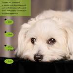 Elevate Your Pet's Seasonal Style with Playful Panache: 8-Piece Set of Dog Shirts Featuring Hilarious Printed Patterns for Airy Comfort in Summer and Fall Classic 8pc Large