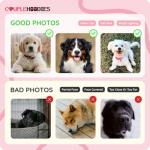 COUPLEHOODIES Custom Dog Portrait Sweatshirt from Photo – Personalized Pet Embroidered Memorial Hoodie – Dog Mom Sweatshirt - Gift for Pet Loss, Christmas, Father’s Day (Varsity-Dog)