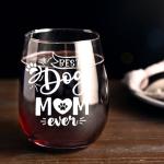 HAYOOU Dog Mom Gifts for Women Wine Glass,Best Dog Mom Ever Birthday,Christmas,Mother's Day Gifts for Dog Lover