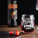 HAYOOU Dog Mom Gifts for Women Wine Glass,Best Dog Mom Ever Birthday,Christmas,Mother's Day Gifts for Dog Lover