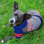 Pets First Buffalo Bills Hoodie for Dogs & Cats. NFL Football Licensed Dog Hoody Tee Shirt, Small. Sports Hoody T-Shirt for Pets. Licensed Sporty Dog Shirt (BUF-4044-SM)