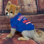 NFL Buffalo Bills Dog T-Shirt for Pets, Size Medium. Officially Licensed Pet Shirt with Team Logo, Soft Stretchable Comfort Fit Apparel for Dogs & Cats