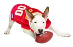 Pets First NFL Kansas City Chiefs Dog Jersey, Size: Large. Best Football Jersey Costume for Dogs & Cats. Licensed Jersey Shirt