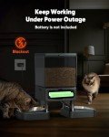 Automatic Cat Feeder for 2 Cats and Small Pets