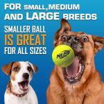 Nerf Dog Tennis Ball Blaster Dog Toy Gift Set, Tennis Ball Dog Fetch Toy Launches up to 50 ft, Dog Ball Thrower for All Breeds Includes Translucent Blue Tennis Ball Launcher and 3 Dog Tennis Balls