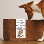 Tzhim Pomeranian Gifts Kitchen Towels Set of 2, Pomeranian Gifts for Women, Pomeranian Dog Dish Towels Tea Towels for Kitchen, Pomeranian Dog Hand Towels, Dog Kitchen Bathroom Decor, 16x24 Inch