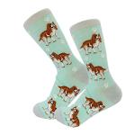 E&S Imports Pet Lover Socks - Fun Novelty Socks - All Season - One Size Fits Most - for Women and Men – Dog Gifts (King Charles Cavalier Gifts - Socks)