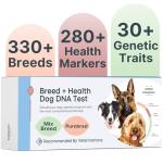 Dog DNA Testing Kit for Breed and Health
