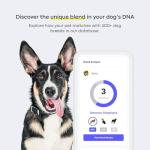 Dog DNA Testing Kit for Breed and Health