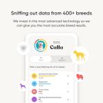 Embark Dog DNA Test Kit for Mixed Breeds