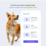 Dog DNA Testing Kit for Breed and Health