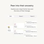 Embark Dog DNA Test Kit for Mixed Breeds