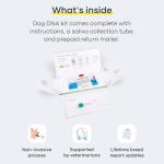 Dog DNA Testing Kit for Breed and Health