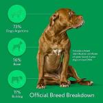 DNA My Dog - Affordable Breed Test & Insights