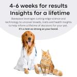 Dog DNA Testing Kit for Breed and Health