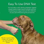DNA My Dog - Affordable Breed Test & Insights