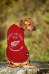Detroit Red Wings Pet Tee Shirt - Medium