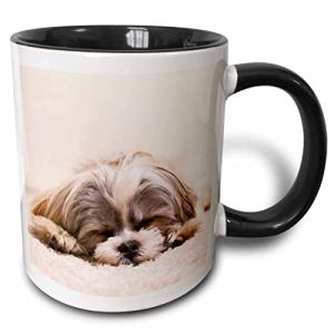 Shih Tzu Sleeping Best Friend Ceramic Mug