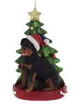 Personalized Rottweiler Resin Christmas Tree Ornament