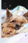 Yorkshire Terrier Notebook for Dog Lovers