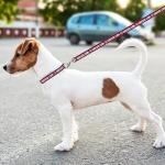 Chicago Cubs Dog Leash for Game Day Fun