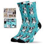 Boston Terrier Socks for Dog Lovers