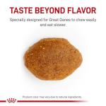 Royal Canin Breed Health Nutrition Great Dane Adult Dry Dog Food, 30 lb Bag