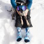 Lavley My Dog Thinks I'm Cool - Funny Socks For Dog and Husky Lovers - Unisex for Men & Women, One Size