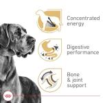 Royal Canin Breed Health Nutrition Great Dane Adult Dry Dog Food, 30 lb Bag