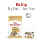 Royal Canin Shih Tzu Adult Dry Dog Food