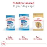 Royal Canin Breed Health Nutrition Great Dane Adult Dry Dog Food, 30 lb Bag