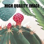 Funny Dog Warning Metal Tin Signs Wall Art Decor Property is Protected By a Poodle is Protected By My Gun Sign for Home Decor Gifts to Indoor and Outdoor Use - 8x12 Inch