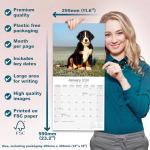 Bernese Mountain Dog 2026 Calendar | Square Wall Calendar | Dog Breed Gift | Plastic Free Packaging | by Avonside Publishing