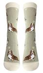 Basset Hound Dog Socks: Full Body, Khaki, One Size Fits All by E&S Pets
