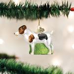 Old World Christmas Jack Russell Terrier Glass Blown Ornament for Christmas Tree, Handcrafted Holiday Decoration, Dog Collection