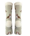 Basset Hound Dog Socks: Full Body, Khaki, One Size Fits All by E&S Pets