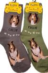Foozys Unisex Crew Socks | Canine/Dog Collection | Goldendoodle