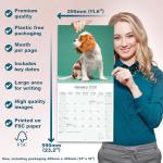Cavalier King Charles Spaniel 2026 Calendar | Square Wall Calendar | Dog Breed Gift | Plastic Free Packaging | by Avonside Publishing