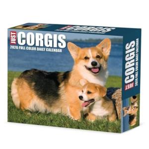 Willow Creek Press, Just Corgis 2026 Desk Calendar, 6.18'' X 5.43'', Daily Calendar with Adhesive Binding