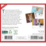 Willow Creek Press, Just Corgis 2026 Desk Calendar, 6.18'' X 5.43'', Daily Calendar with Adhesive Binding