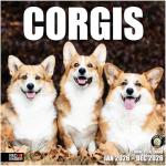 RED EMBER Corgis 2026 Wall Calendar 12 Month | 12" x 24" Open | Thick & Sturdy Paper | Holiday Gift | Cute Puppy Dog Calendar 2026