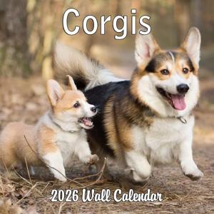 2026 Corgis Monthly Wall Calendar | Cute Dog Calendar September 2025 - December 2026