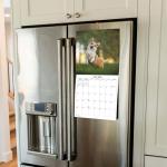 2026 Corgis Monthly Wall Calendar | Cute Dog Calendar September 2025 - December 2026